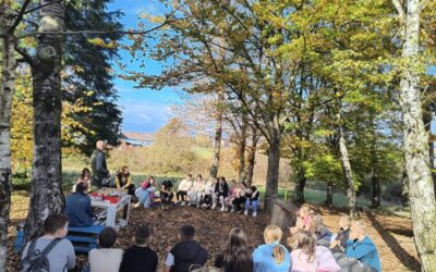 Škola u šumi, šuma u školi