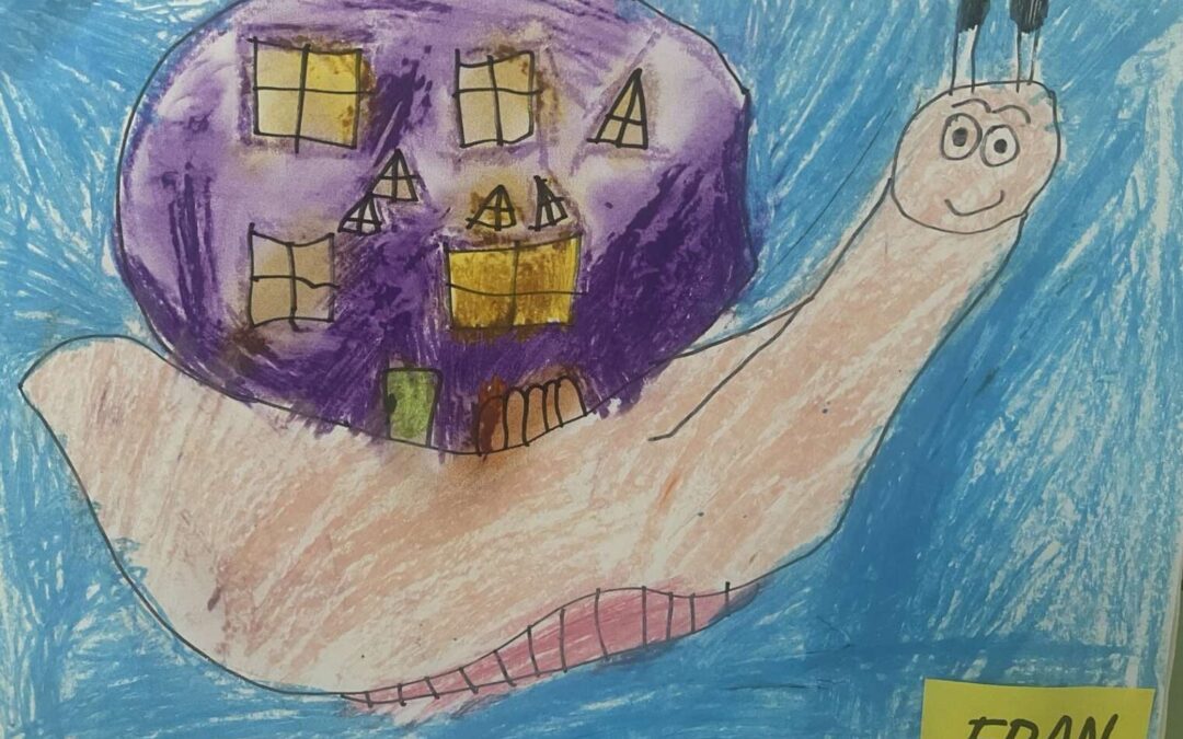 Franova prva izložba